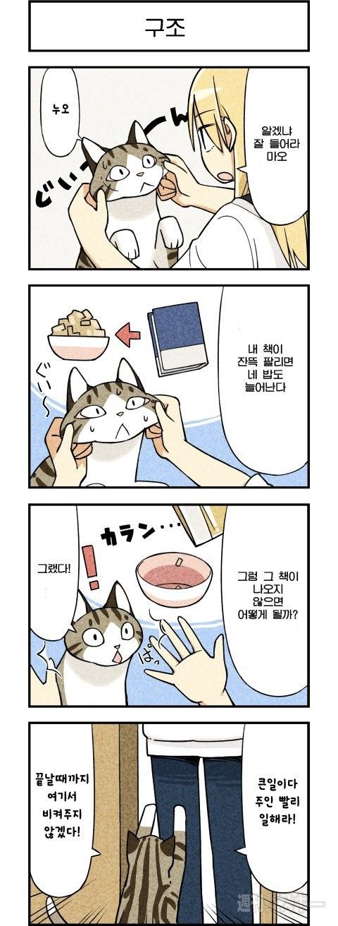 F9CE39CB-A2F4-466A-9EB5-789F15C26D3B.jpeg : 고양이 키우는 만화