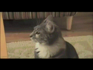 17abbf7352036a96e.gif : 압도적인 네망에 17abbf7352036a96e.gif : 압도적인 네망에