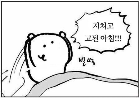 DBA0FF36-B7D5-4BFA-B2F2-752592C141BE.jpeg : (약혐) 이거 병원 가야하나? DBA0FF36-B7D5-4BFA-B2F2-752592C141BE.jpeg : (약혐) 이거 병원 가야하나?