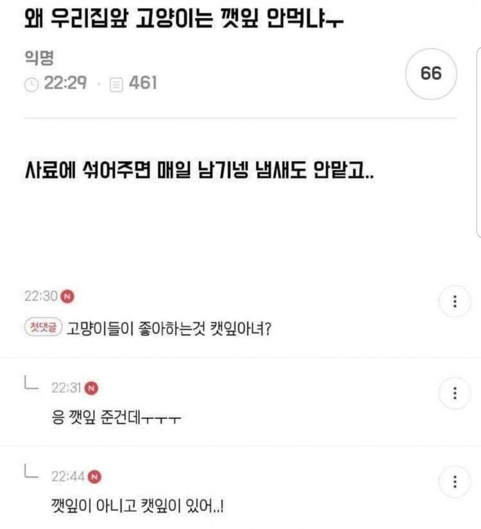 58711573_376490916296489_6716436927970541568_o.jpg : 침대에 누우니 쵸이 졸리네 58711573_376490916296489_6716436927970541568_o.jpg : 침대에 누우니 쵸이 졸리네