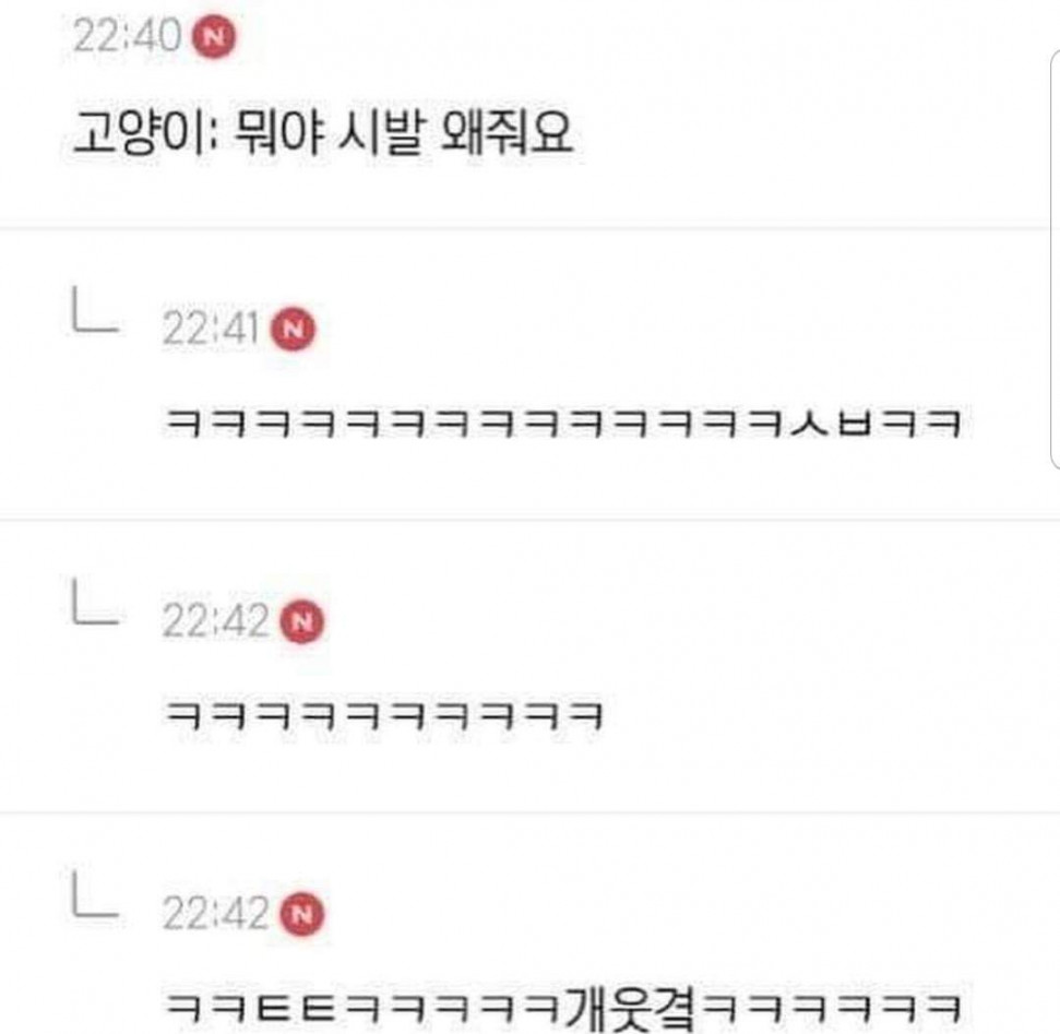 59106192_376490949629819_4107142771213598720_o.jpg : 침대에 누우니 쵸이 졸리네 59106192_376490949629819_4107142771213598720_o.jpg : 침대에 누우니 쵸이 졸리네