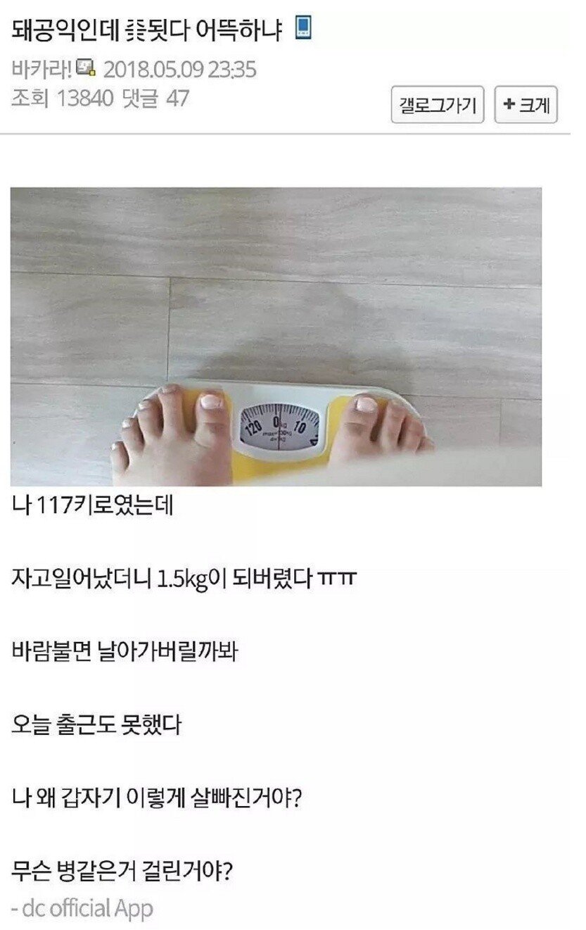 16f40ca51ea5060e5.jpg : 게한테 무게를 빼앗긴 공익 16f40ca51ea5060e5.jpg : 게한테 무게를 빼앗긴 공익