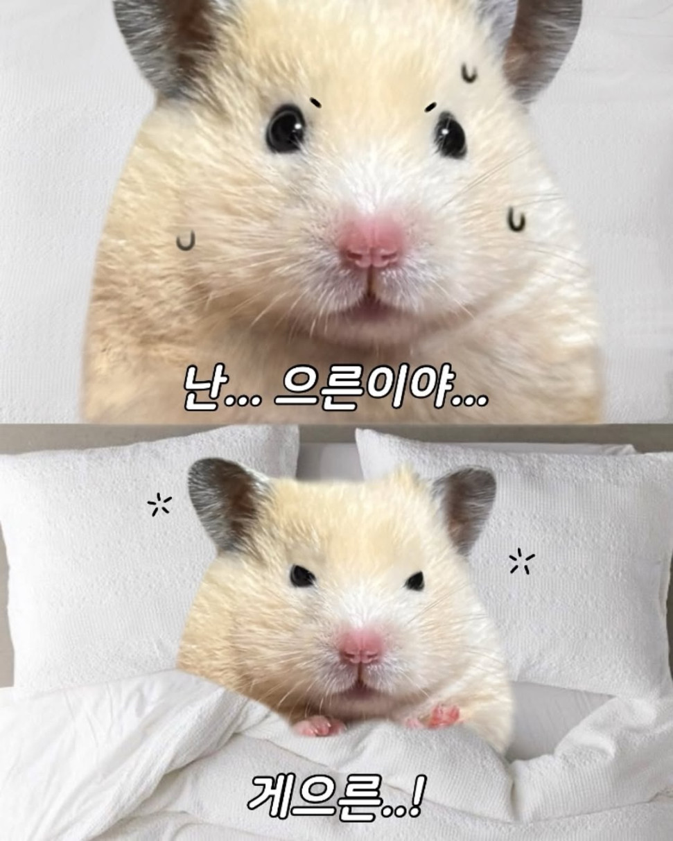 196db24a17b4a7eac.jpeg : 이런인생은 바라지 않은 레후 196db24a17b4a7eac.jpeg : 이런인생은 바라지 않은 레후