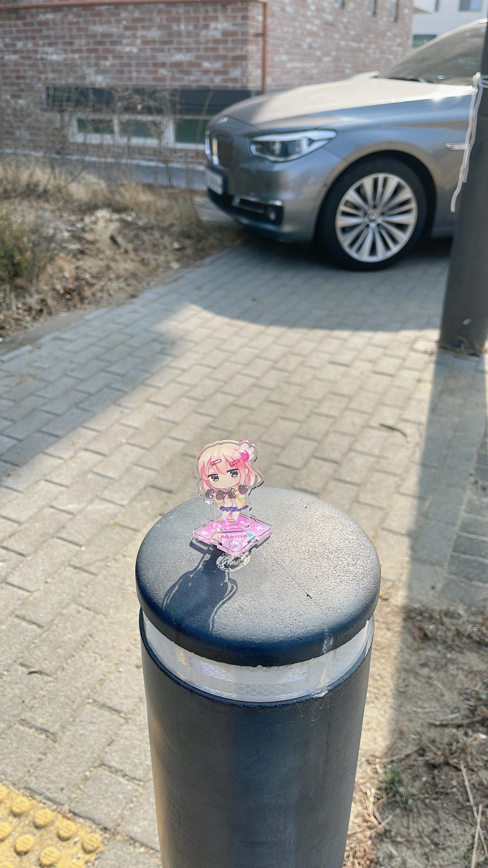 71AA99DB-4D6D-447D-B0DA-A58D5A36A924.jpeg : 아카리짱!!!! 마떼