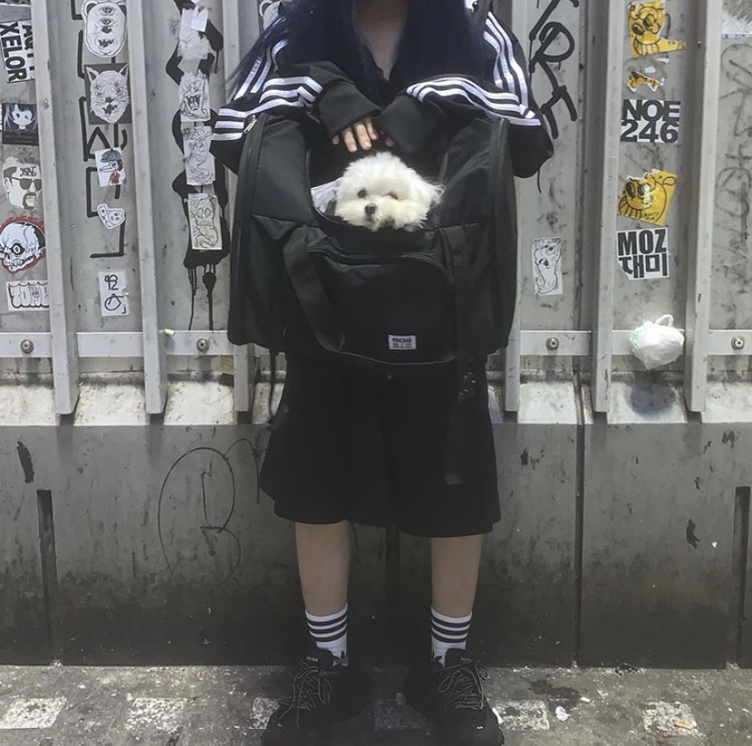 144F1EB4-5C67-4CC9-A4A4-174A1B64F151.jpeg : 이거 네흥이다 144F1EB4-5C67-4CC9-A4A4-174A1B64F151.jpeg : 이거 네흥이다
