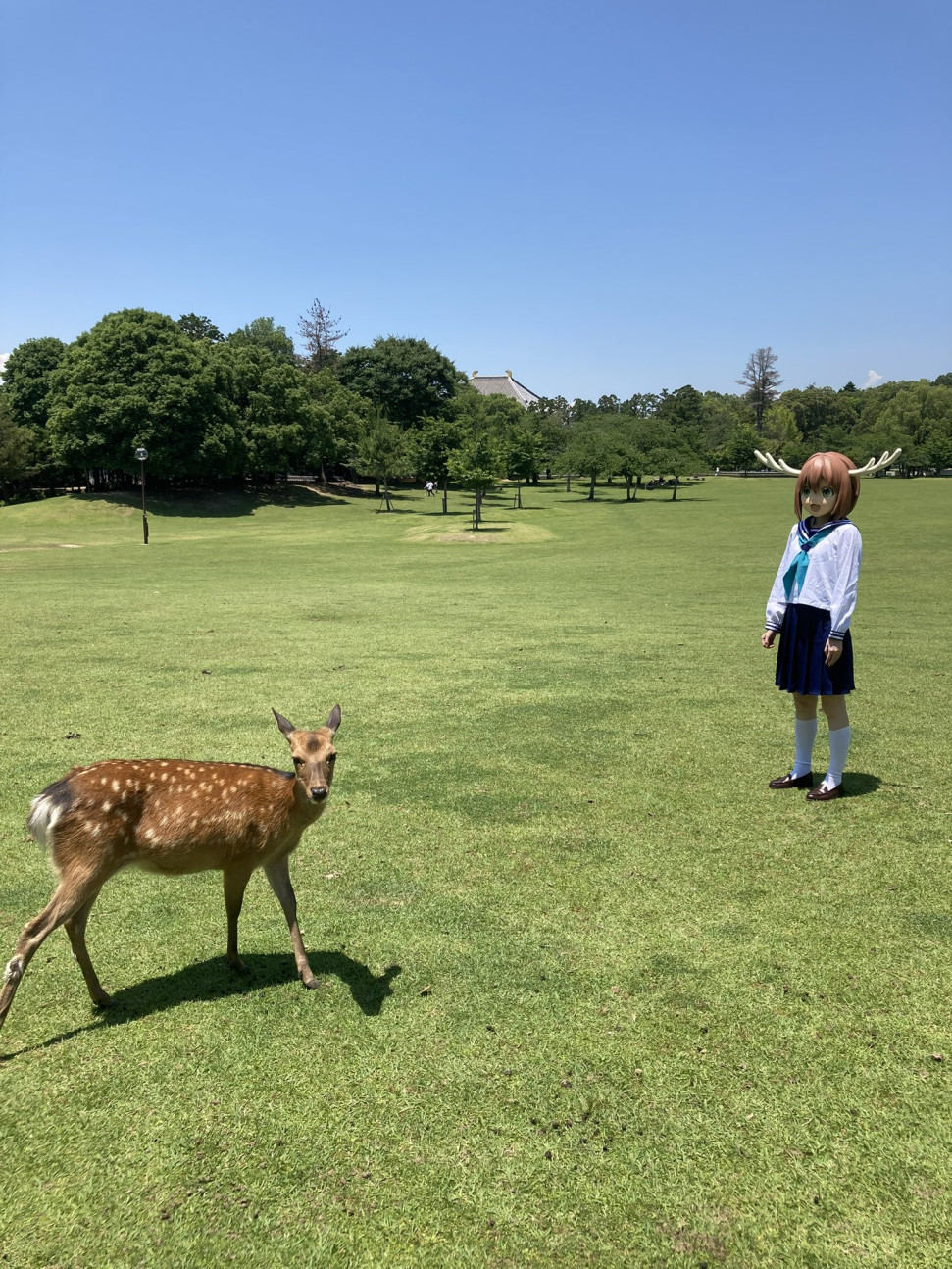 GU_pLopb0AAo3QE.jpeg : 흠 이 관계 좋은 결말이 날까? GU_pLopb0AAo3QE.jpeg : 흠 이 관계 좋은 결말이 날까?