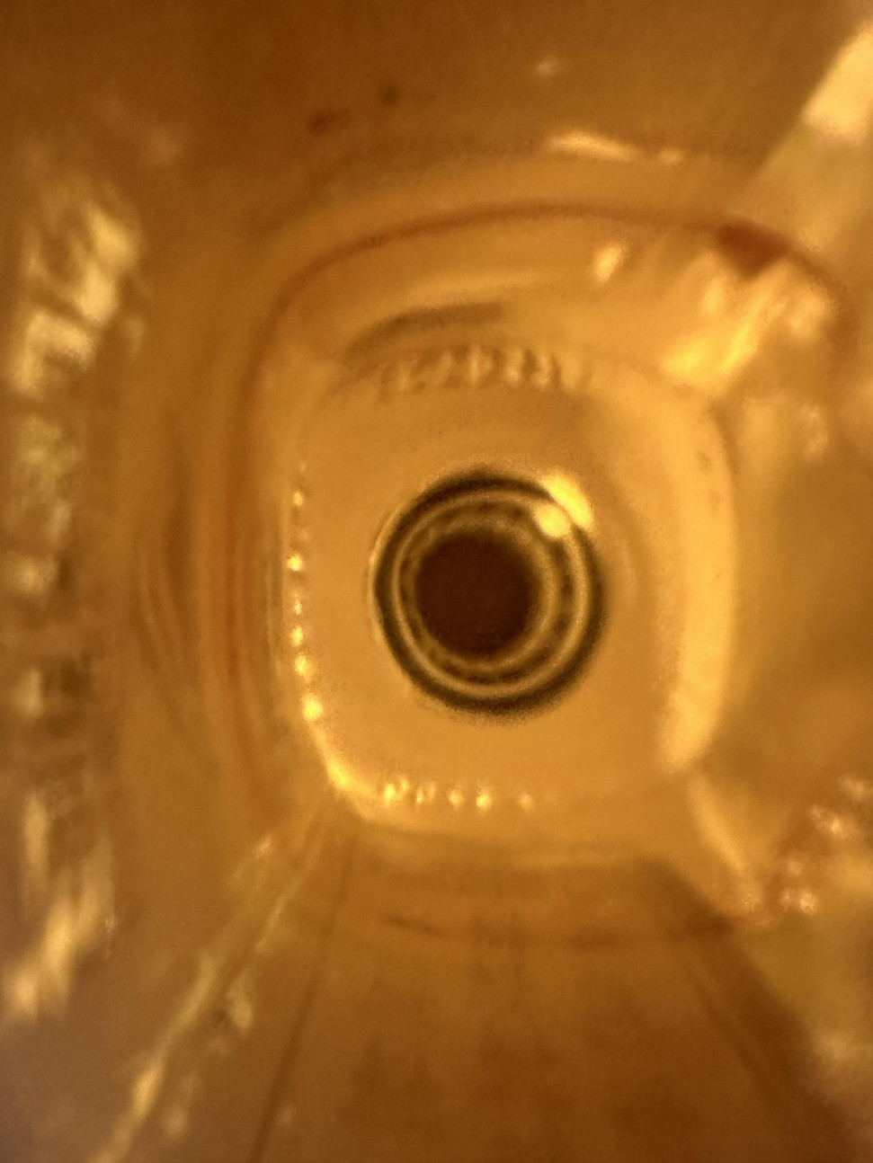 IMG_0003.jpeg : 꼬르륵 IMG_0003.jpeg : 꼬르륵