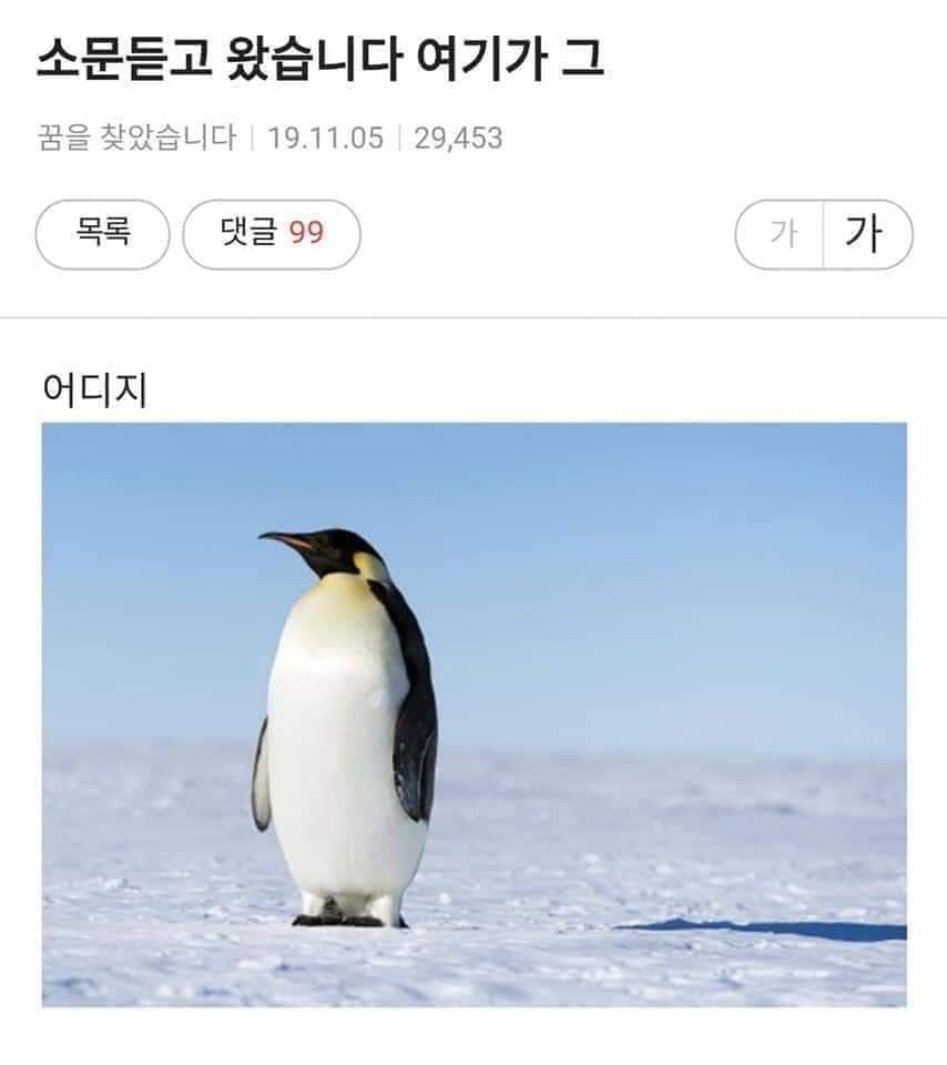 80257919_1474629112706312_1940344019628326912_n.jpg : 소문 듣고 왔습니다