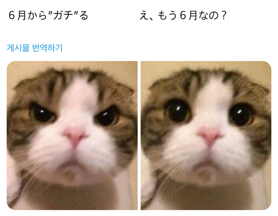 IMG_2717.jpeg : 오늘 야식 먹어야지 IMG_2717.jpeg : 오늘 야식 먹어야지