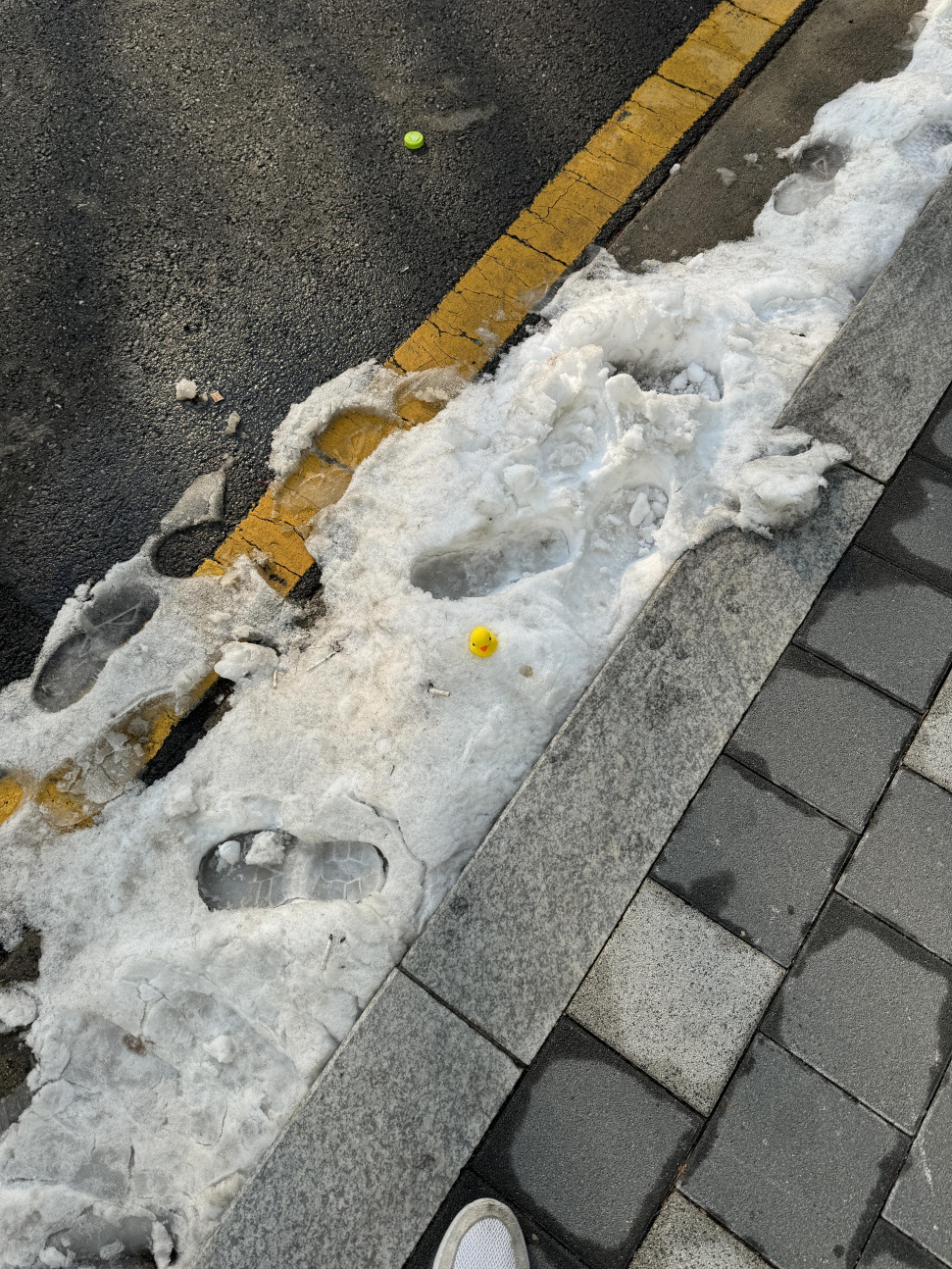 IMG_8878.jpeg : 긔여운 오리 ㅋ IMG_8878.jpeg : 긔여운 오리 ㅋ
