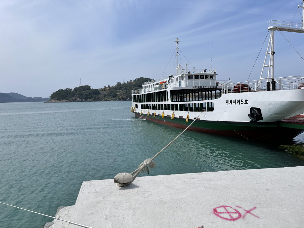 66227015-81BF-4C9F-890C-C1F50D6452D9.jpeg : 상괭이는 한국 토종 돌고래 랭 66227015-81BF-4C9F-890C-C1F50D6452D9.jpeg : 상괭이는 한국 토종 돌고래 랭