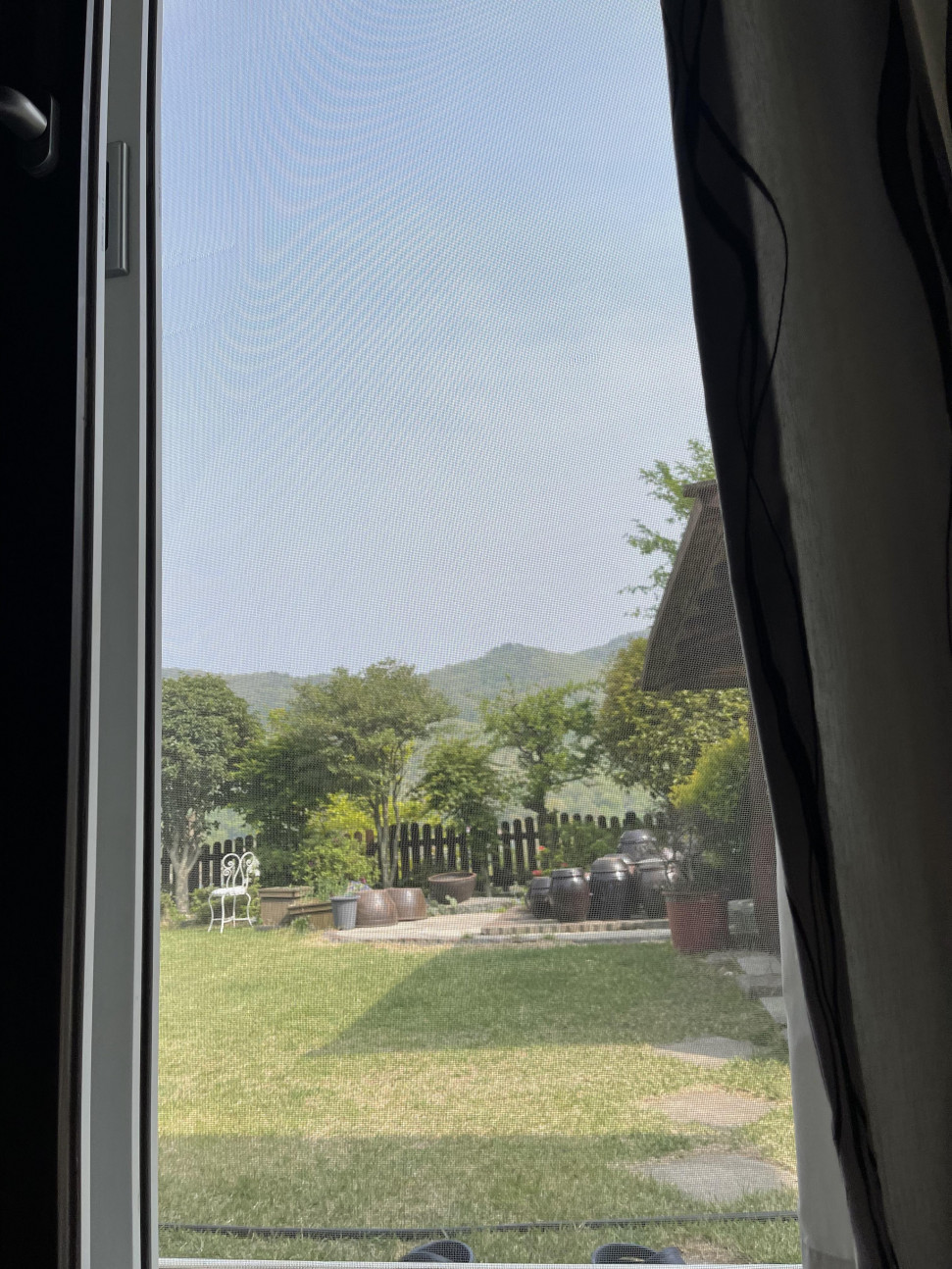 F2D4E14F-2259-4DDB-8C7A-11AF57BFF958.jpeg : 쉬러옴 F2D4E14F-2259-4DDB-8C7A-11AF57BFF958.jpeg : 쉬러옴