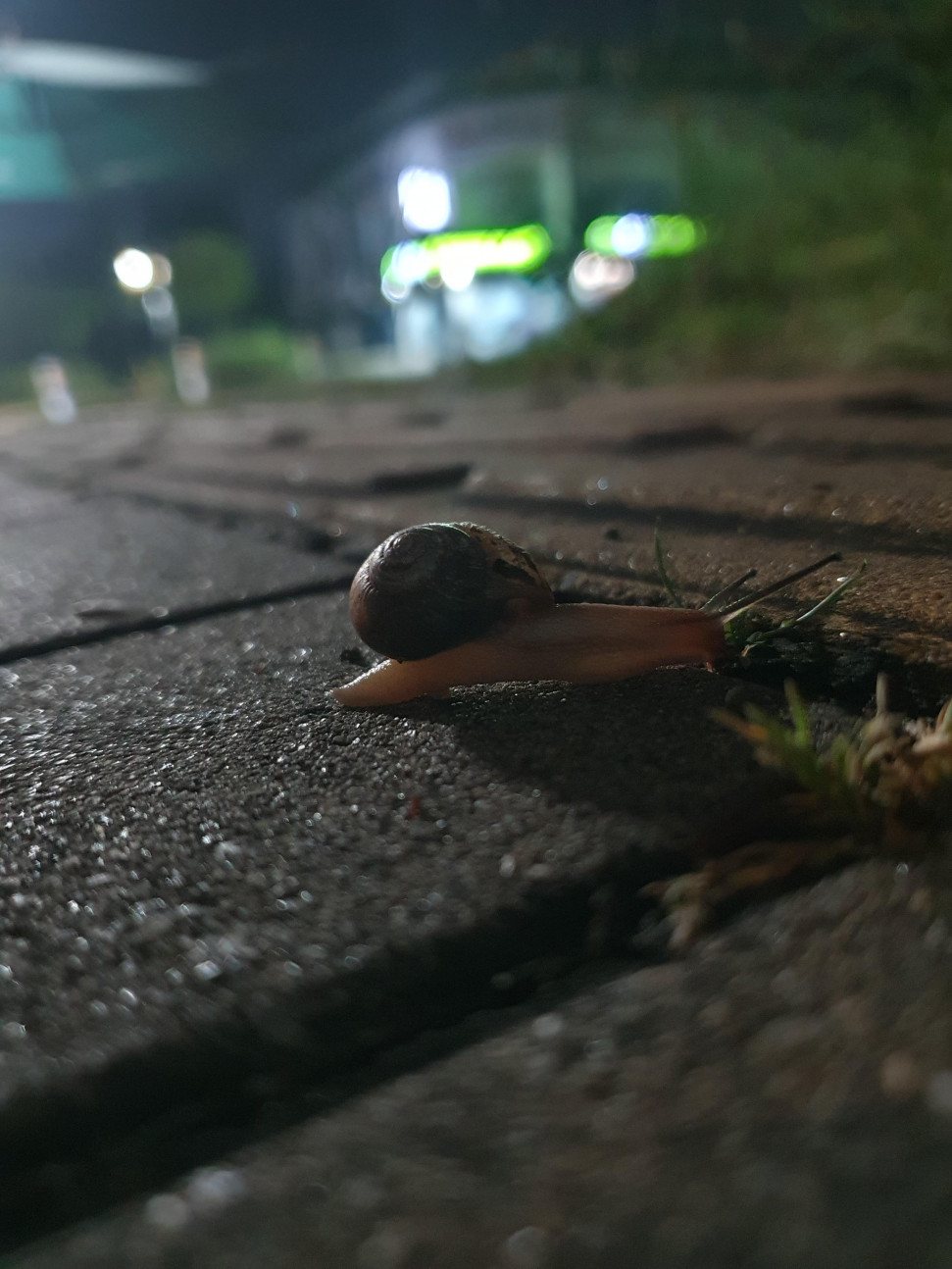 20240527_020900.jpg : 요즘 알바 다니면서 느낀 점 20240527_020900.jpg : 요즘 알바 다니면서 느낀 점